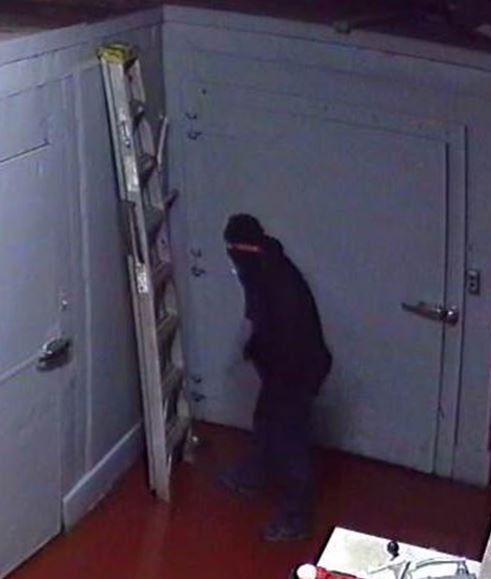 Hanover Park Burglar 