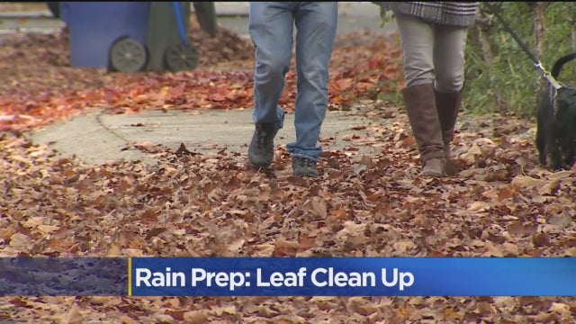 clean-the-leaves.jpg 
