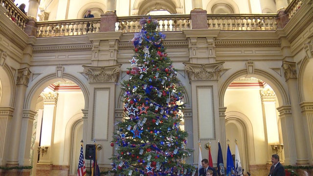tree1.jpg 