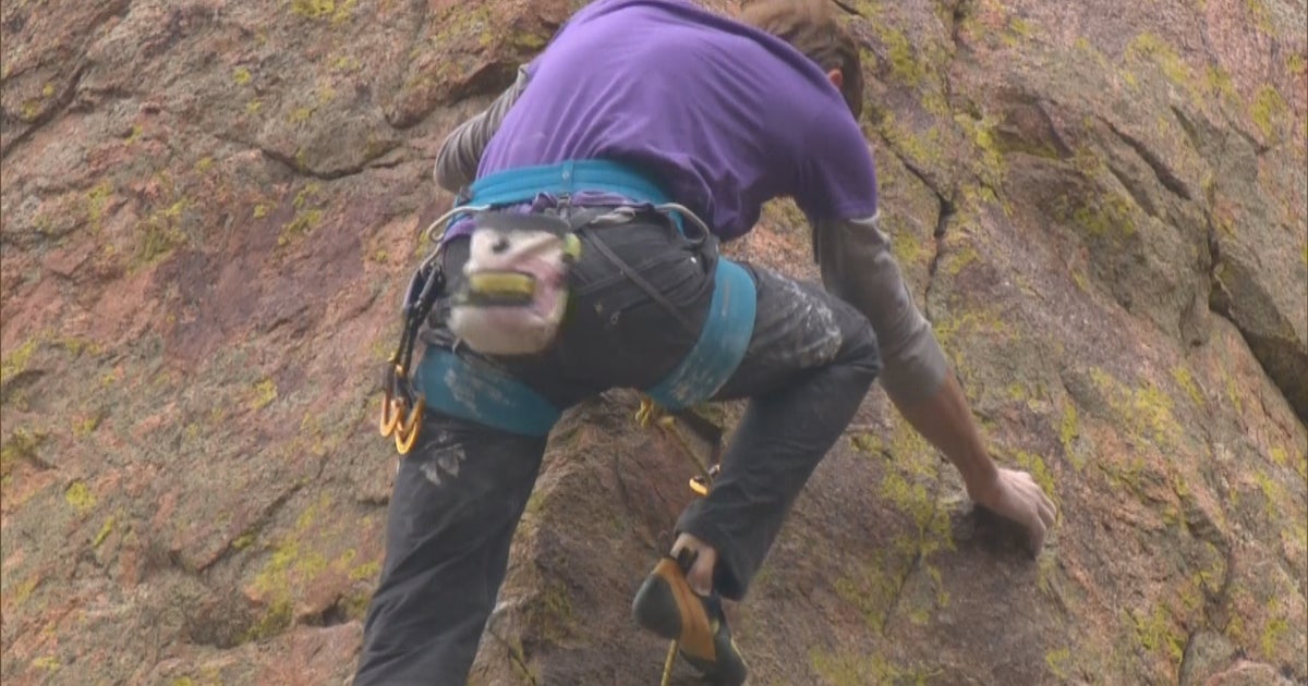 Climbers Scale New Heights To Find Bats, Help Protect Species - CBS ...