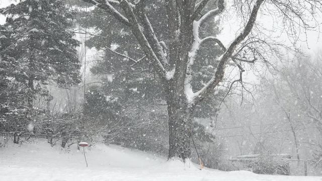december-1-snow.jpg 