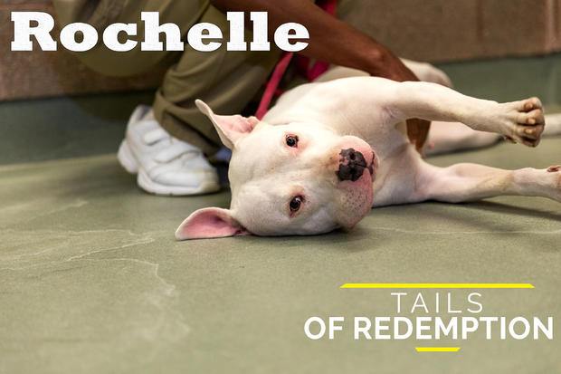 Rochelle1.1 
