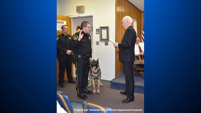 whitehall-borough-k9-finn-officer-terry-bradford-2.jpg 