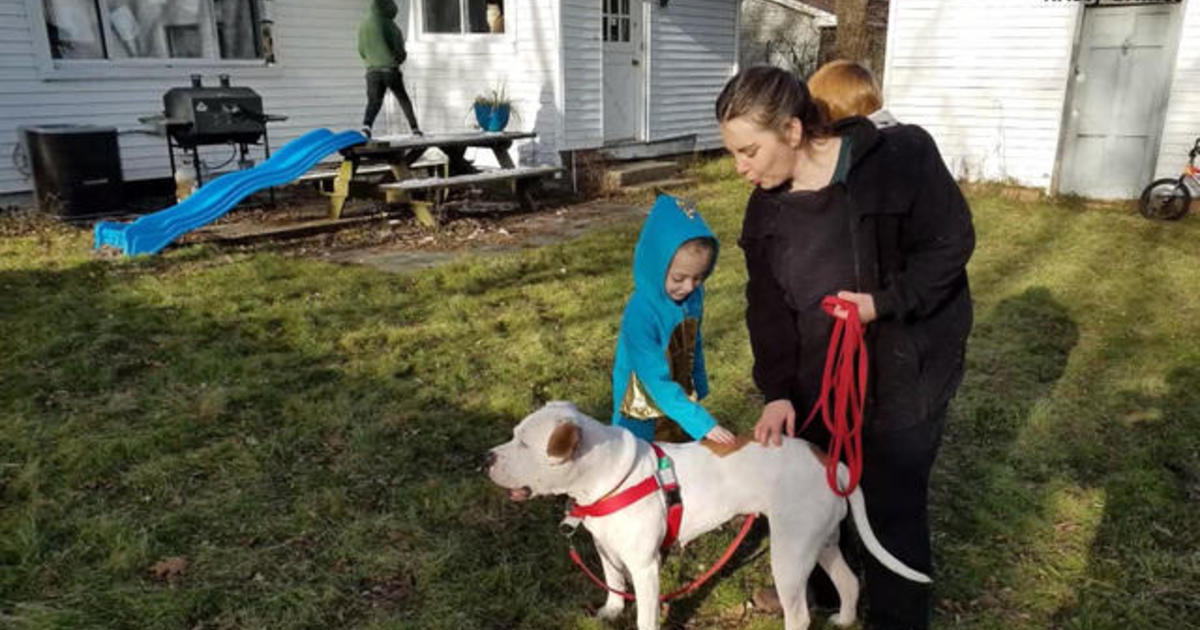 New Jersey Service Dog Receives Honorary Diploma Alongside Owner