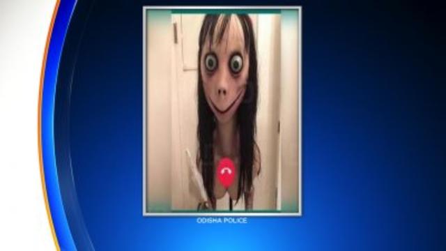 momo-challenge-1.jpg 