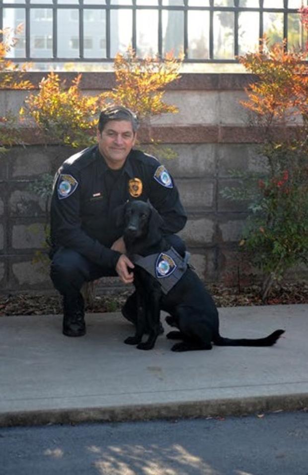 New Citrus Heights PD K9 2 - Citrus Heights Police Dept. 
