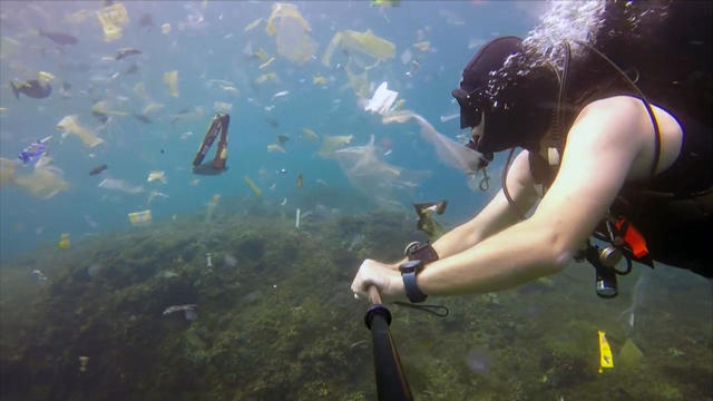 Scuba Diver at 8, Girl Collects 600KG Plastic Waste to Help the Ocean  Breathe