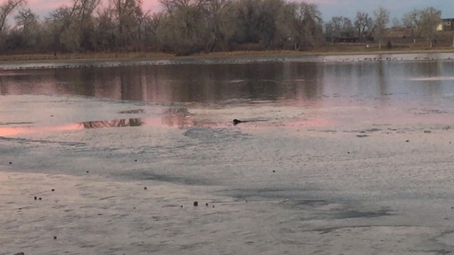 Waneka Lake rescue (2) 