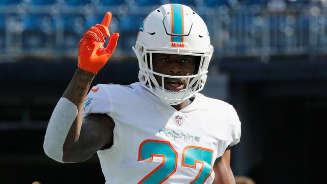 kalen-ballage-dolphins-1.jpg 