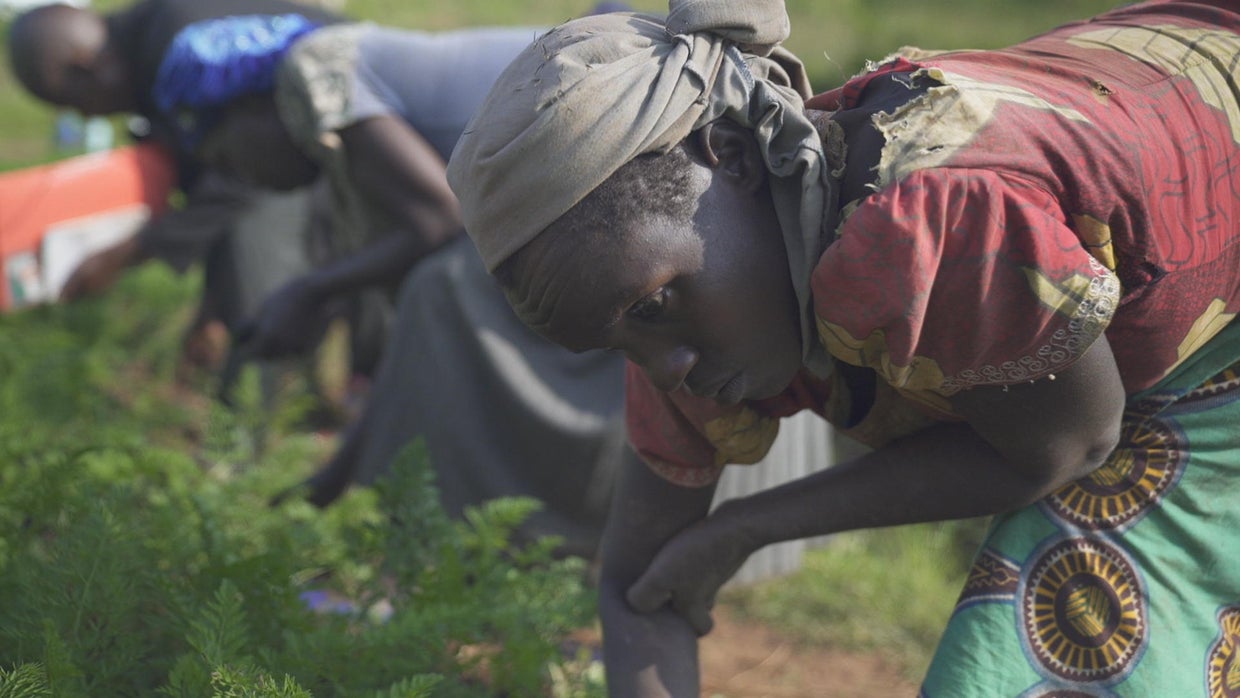 Women of Rwanda rebuilding after genocide