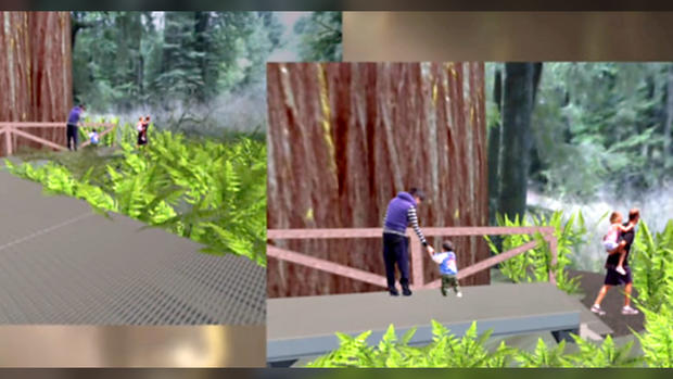 Proposed Walkway at Grove of Titans Redwoods Forest Site 