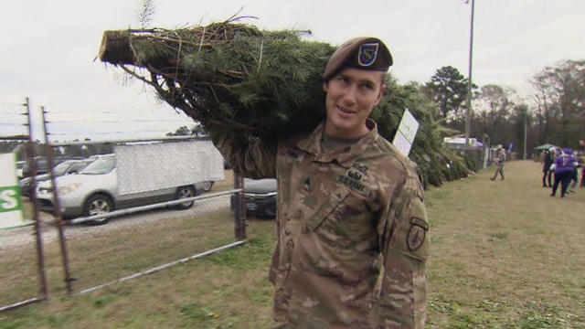 1224-en-treesfortroops-1743416-640x360.jpg 