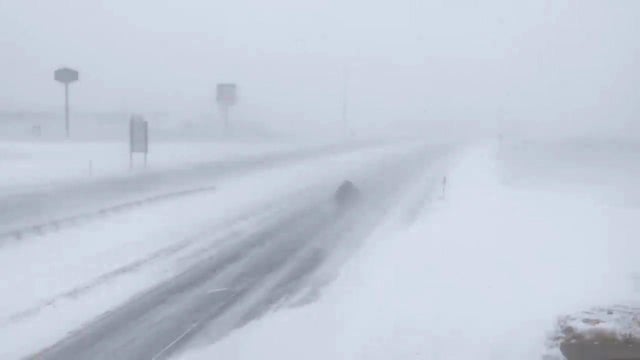 snow-1.jpg 
