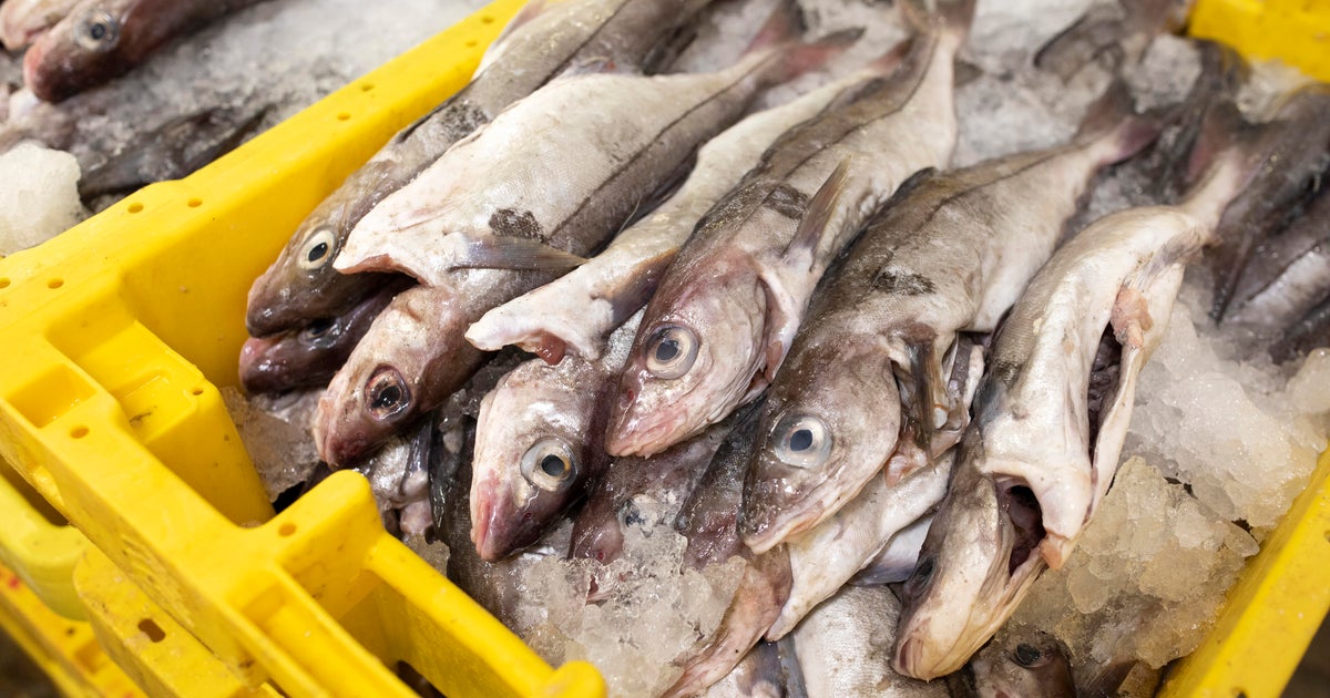 Boy dies after smelling fish: Boy with fish allergy dies after smelling ...