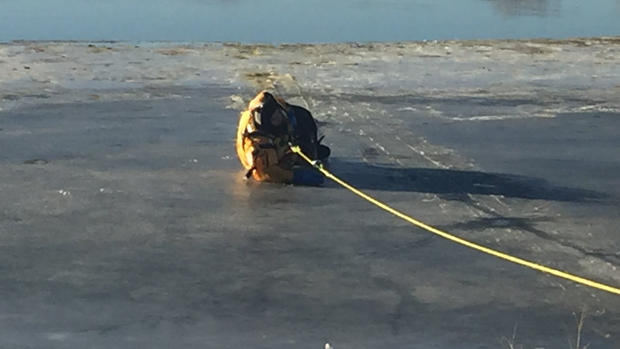 westy dog on ice 3 (westminster fire dept fb) copy 
