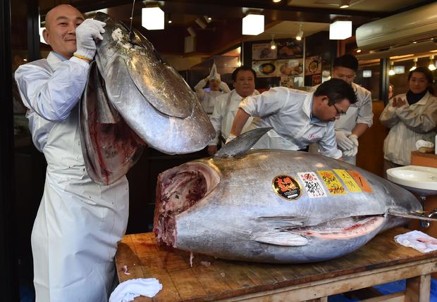 DOUNIAMAG-JAPAN-LIFESTYLE-FISHING-AUCTION-FOOD-TUNA 