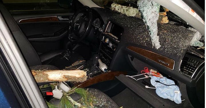 Tree Slams Onto Cars On Highway 13 - CBS San Francisco