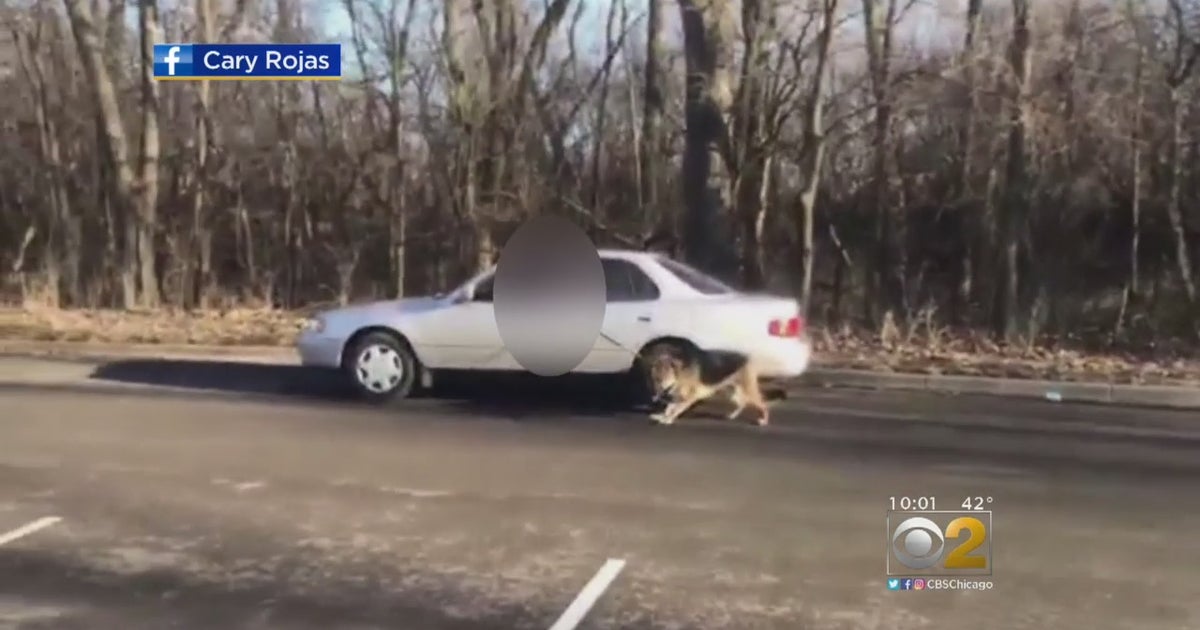 Dog Being Dragged On Leash By Man Inside Car Caught On Tape - CBS Chicago
