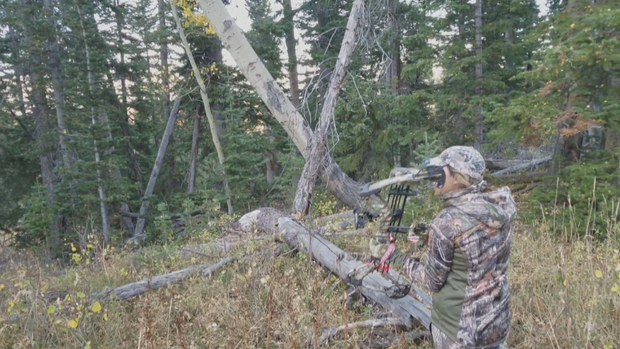 vegan turned hunter 6pkg.transfer_frame_2496 