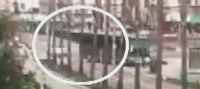 Man Dies After Being Hit, Dragged By Tour Bus In Exposition Park In Possible Hit-And-Run