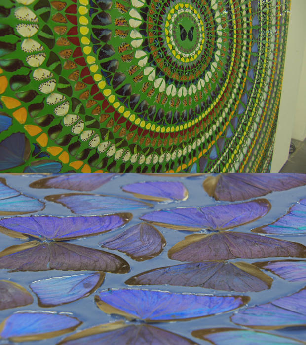 damien-hirst-mosaics-crafted-from-butterflies-620-tall.jpg 