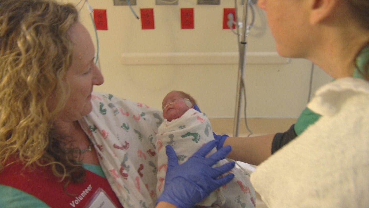 Calling All 'Cuddlers' To Volunteer CBS Colorado