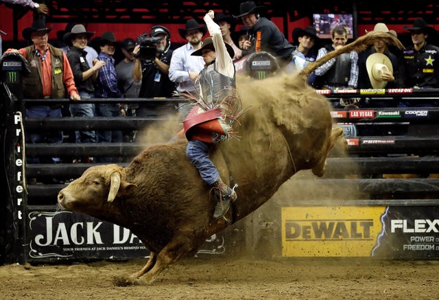 Mason Lowe rides Cochise during the 15/15 round of the PBR Kansas City Invitational at the Sprint Center on Feb. 11, 2017, in Kansas City, Missouri. 
