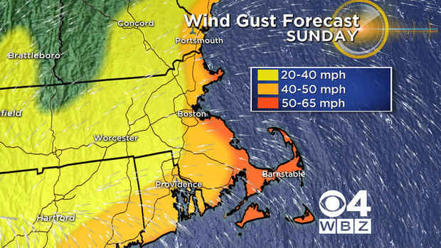 Wind Gust Forecast 