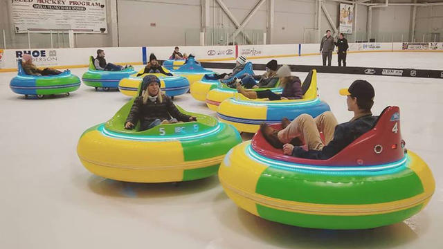 icebumpercars.jpg 