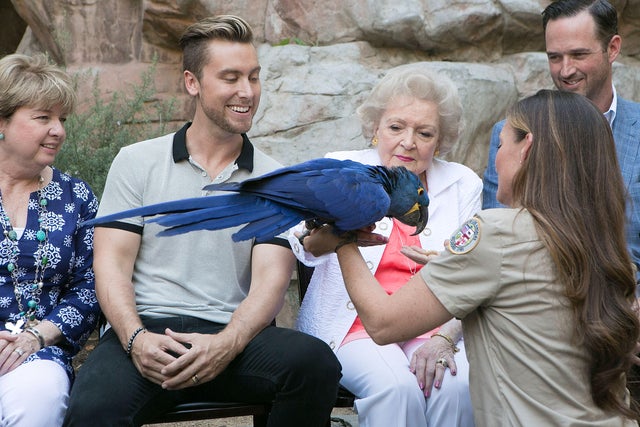 The Greater Los Angeles Zoo Association's (GLAZA) 45th Annual Beastly Ball 