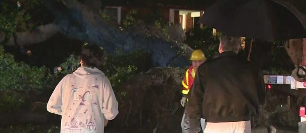 Storm Brings Tree Crashing Down Onto Burbank House 
