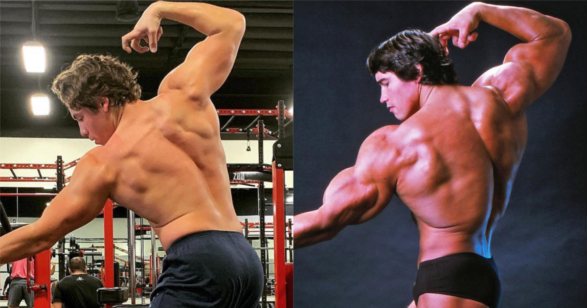 Perfection | Arnold schwarzenegger bodybuilding, Schwarzenegger bodybuilding,  Arnold schwarzenegger