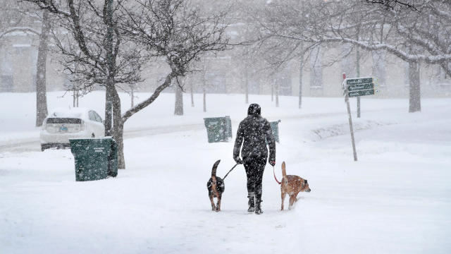 A resident walks her dogs through Humboldt Park after more than 7 inches of snow fell on Feb. 9, 2018, in Chicago, Illinois. 