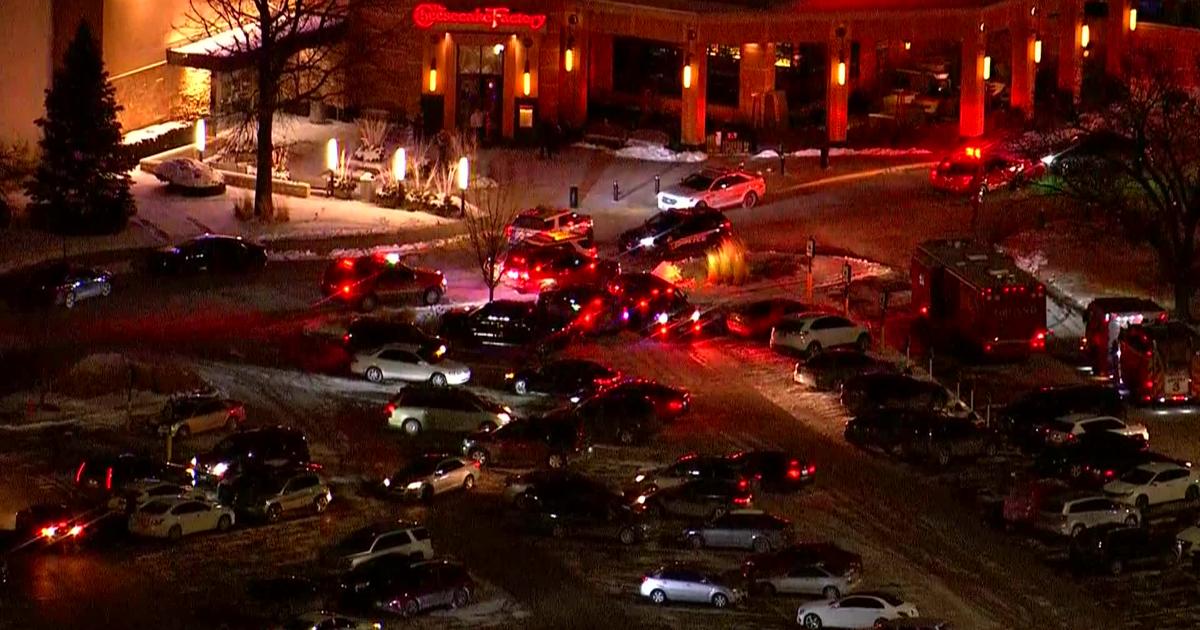 sacerdote Político componente Teen Fatally Shot At Orland Park Mall, Police Searching For Suspect - CBS  Chicago