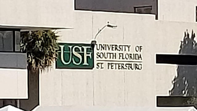 usfstpete.jpg 