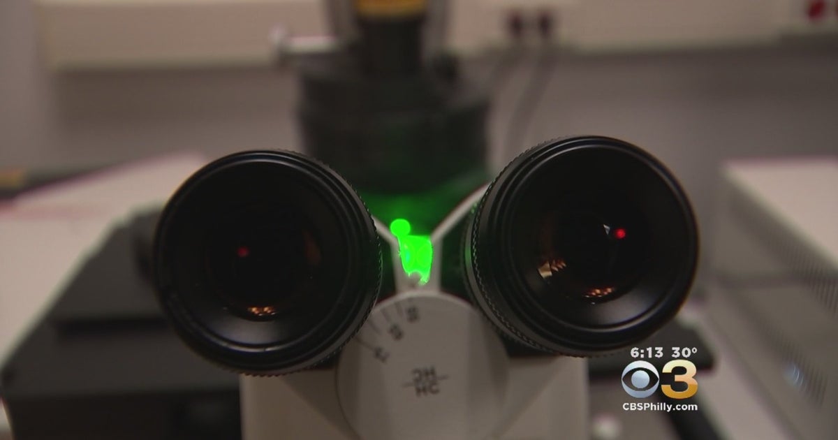 New, Free Exhibit At Wistar Institute Uses Photos To Take You Inside A ...