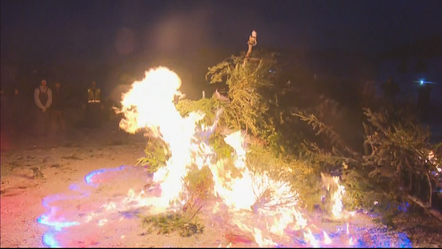 christmas tree bonfire 10pkg.transfer_frame_358 
