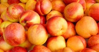 Fresh Nectarines Sold At Costco Being Recalled For Listeria Concerns