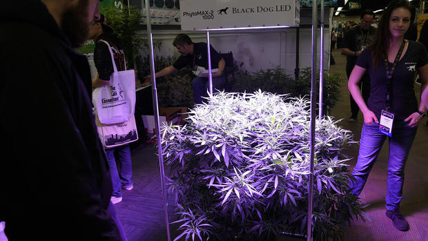 Largest Cannabis Trade Show Comes To Denver 