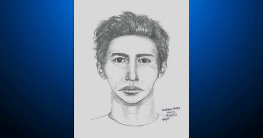 Authorities Release Sketch Of Suspect In Multiple South Bay Sexual ...