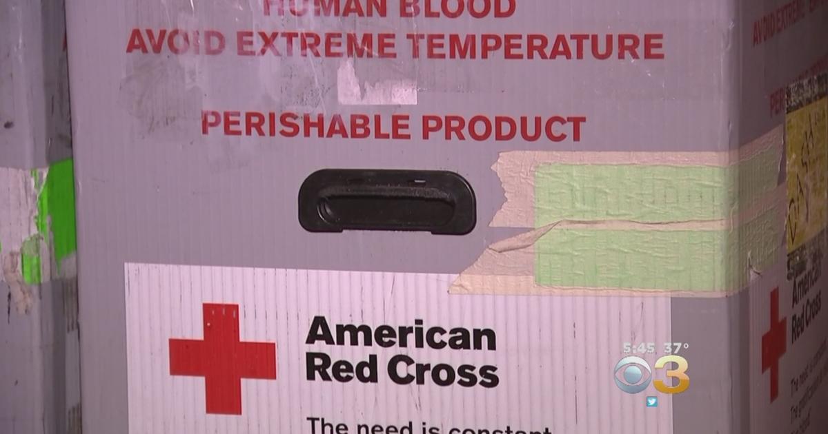 On Wright Brothers Day The American Red Cross would like to share the  following travel safety tips – Texas Gulf Coast American Red Cross