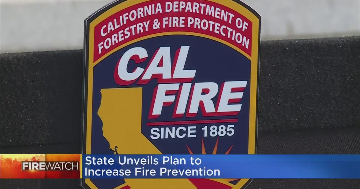 California Seeks Faster Forestry Approvals In Wildfire Fight - Good Day ...