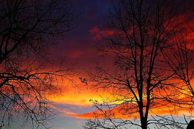 cherry-creek-state-park-sunset-veronica-crowell.jpg 