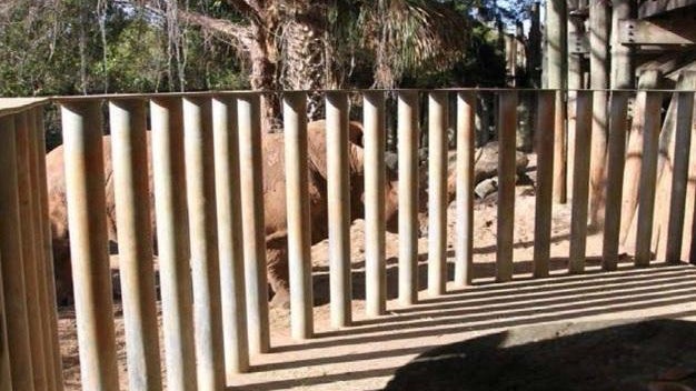 rhino-enclosure-brevard-zoo-melbourne-florida.jpg 
