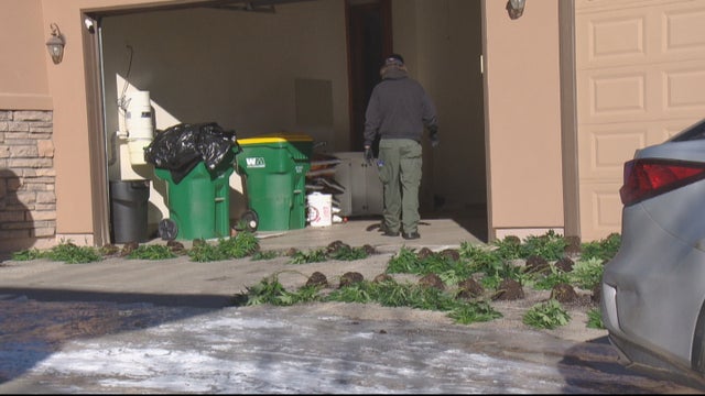 potgrowraids5pkg_frame_144 