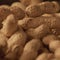 Some 60,000 kids have avoided peanut allergies due to 2015 advice, study finds