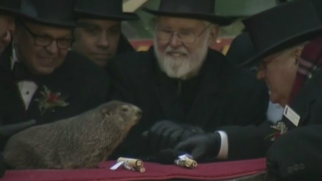 punxsutawney-phil.jpg 