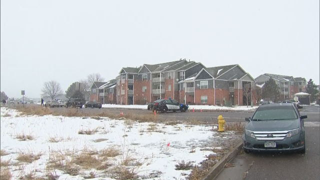 CENTENNIAL BODY 5PKG.transfer_frame_273 