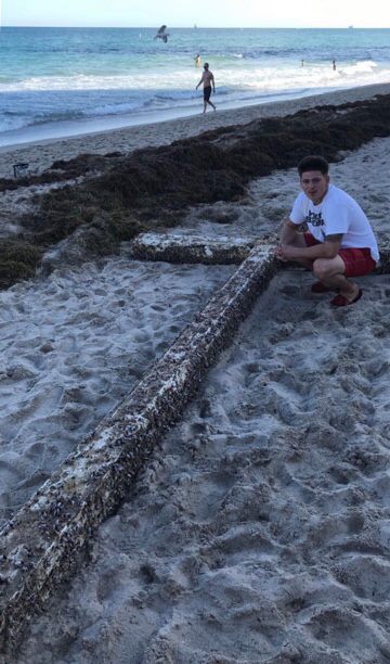 51348120_2474709912571499_7364345487740108800_n 