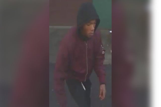 purse robbery suspect 